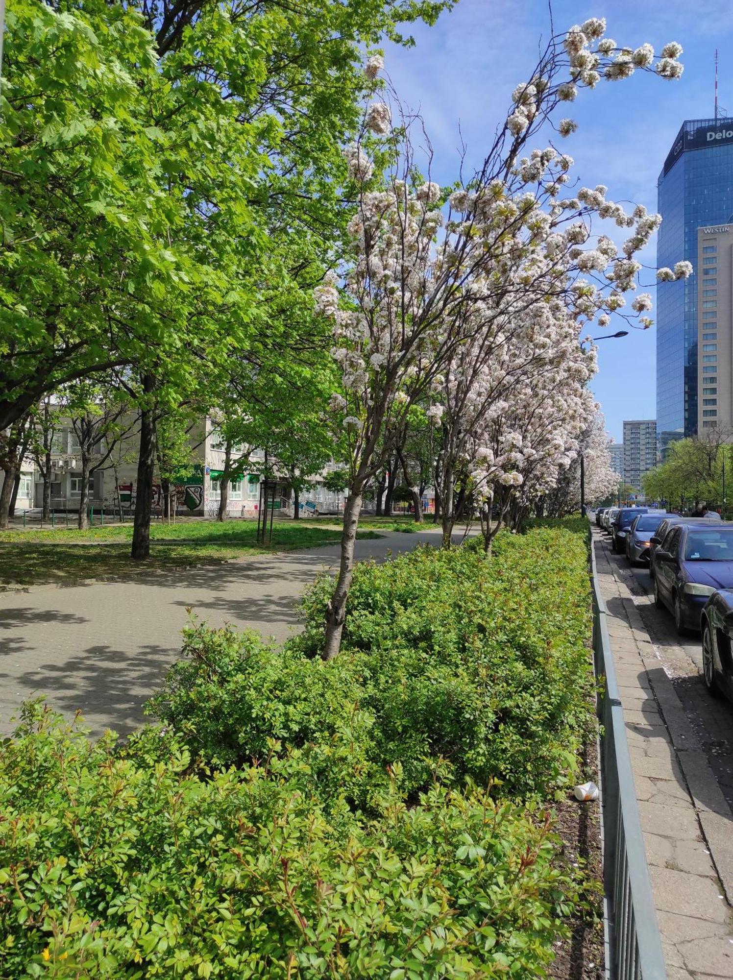 Bosa Warsaw Centrum Apartment Grzybowska39 ภายนอก รูปภาพ